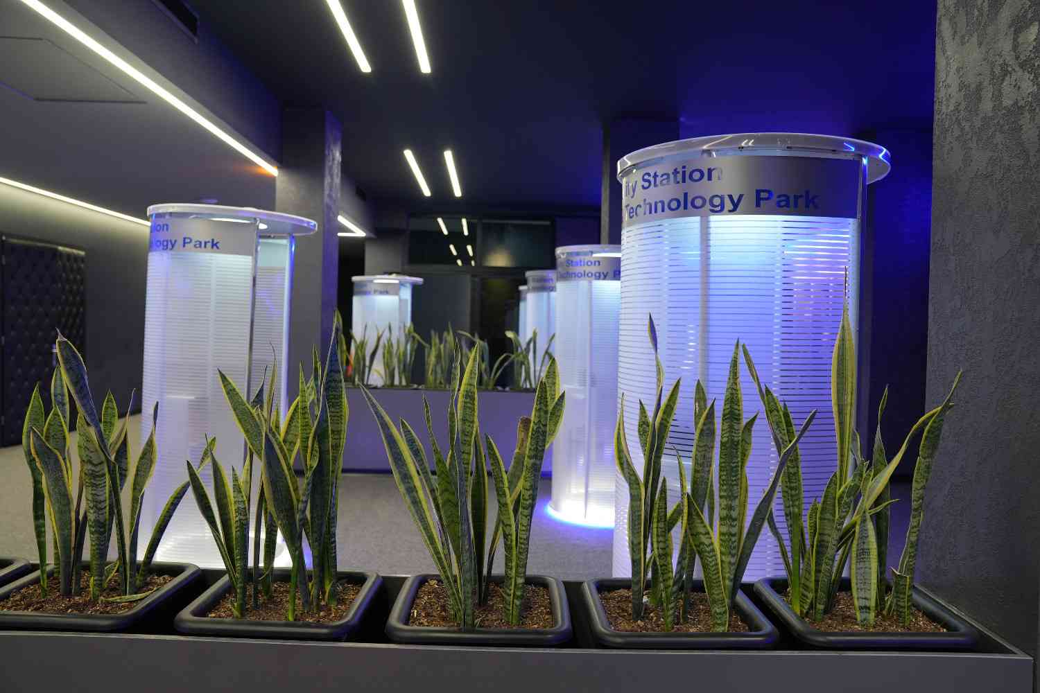 هاب فناوری های آینده